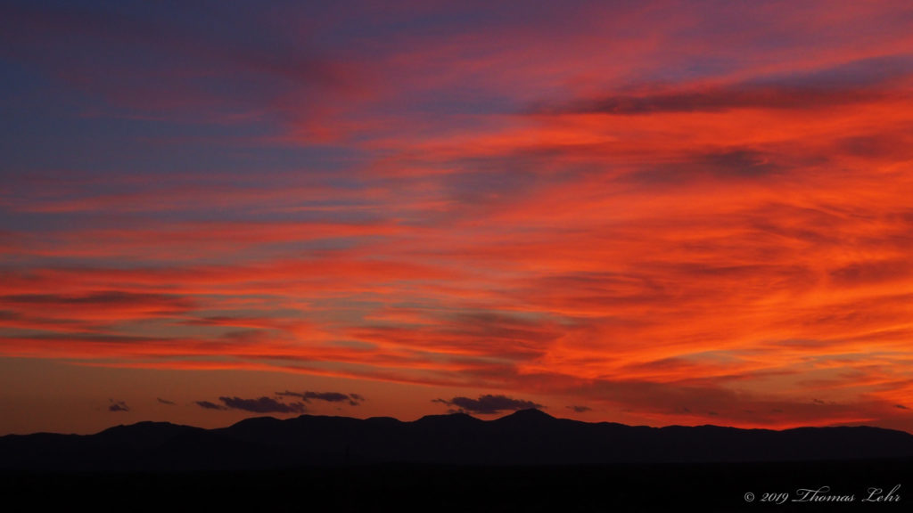 to win me over—even one flower