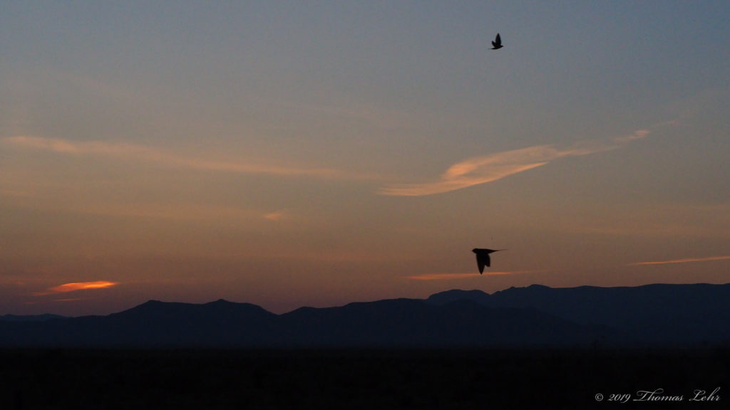 Limits don’t exist. All knowledge is there and