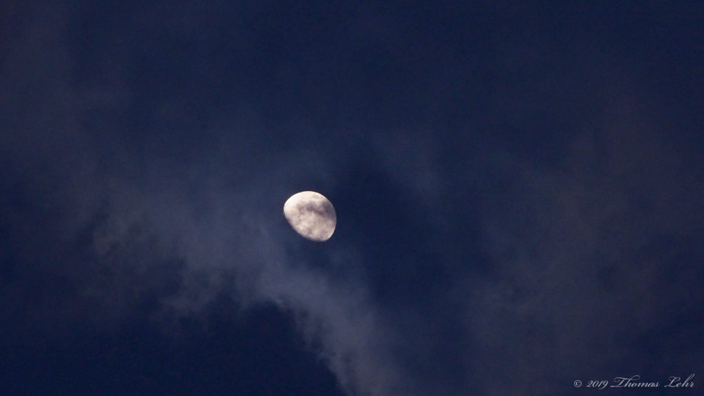 still hardly believe is really true. —Hafiz, translated by Daniel Ladinsky