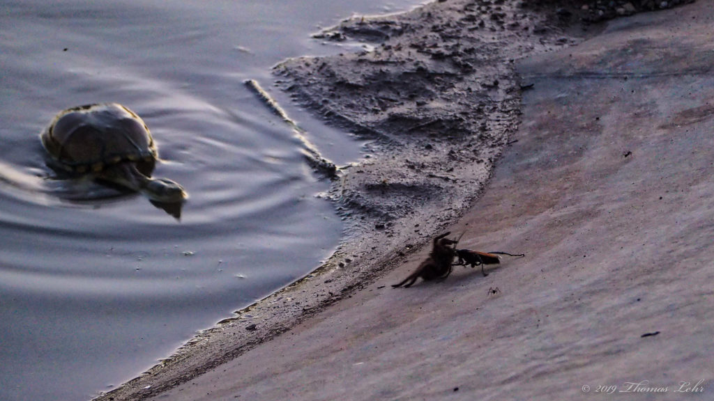 down building after building, house by house.