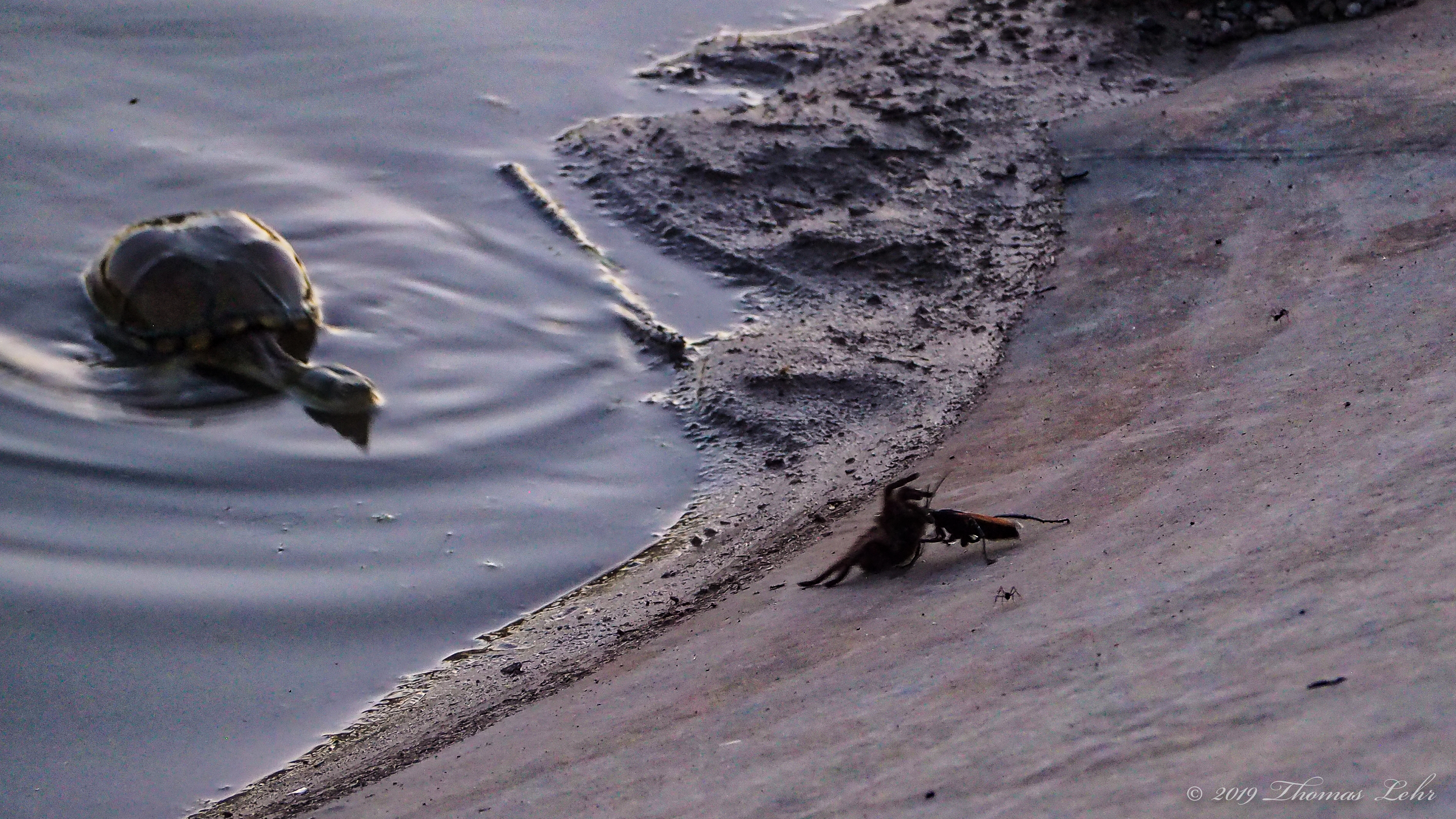 just as the greatest turmoil has precision.