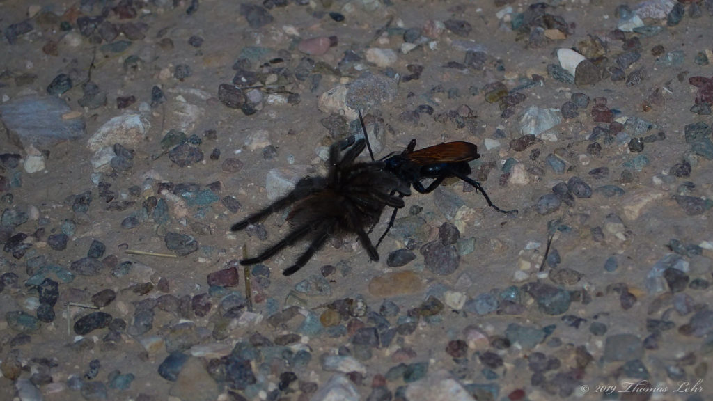 It is enough, Kafka said, that the arrow fit