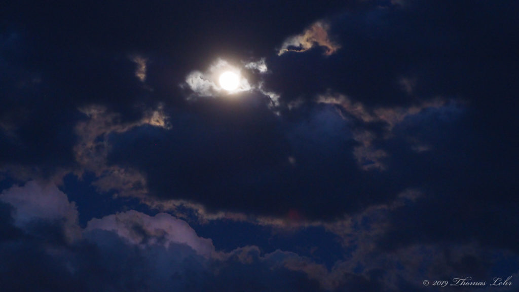 exactly into the wound that it makes. —Linda Gregg