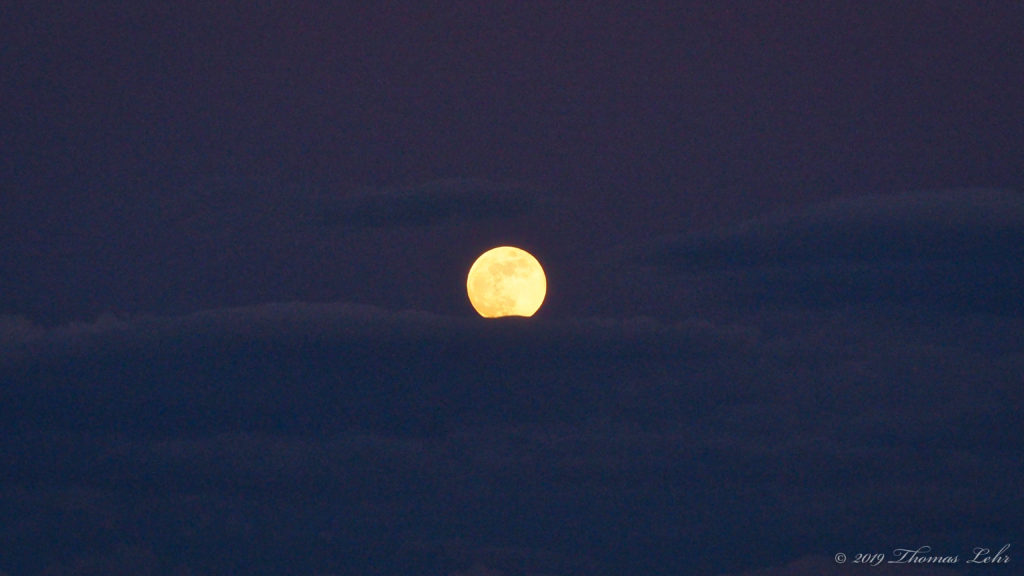 using the bare branch as its accessory. —Christine Gosnay