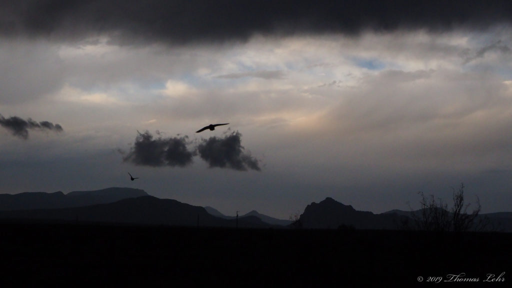 He is a rose, he is together, all