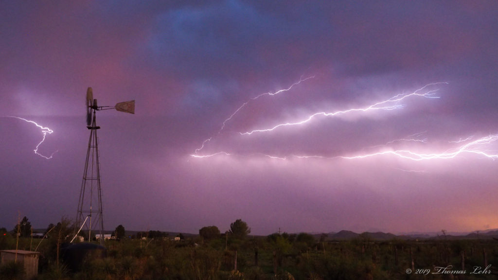 our wings, our straining struts. —Frank O’Hara