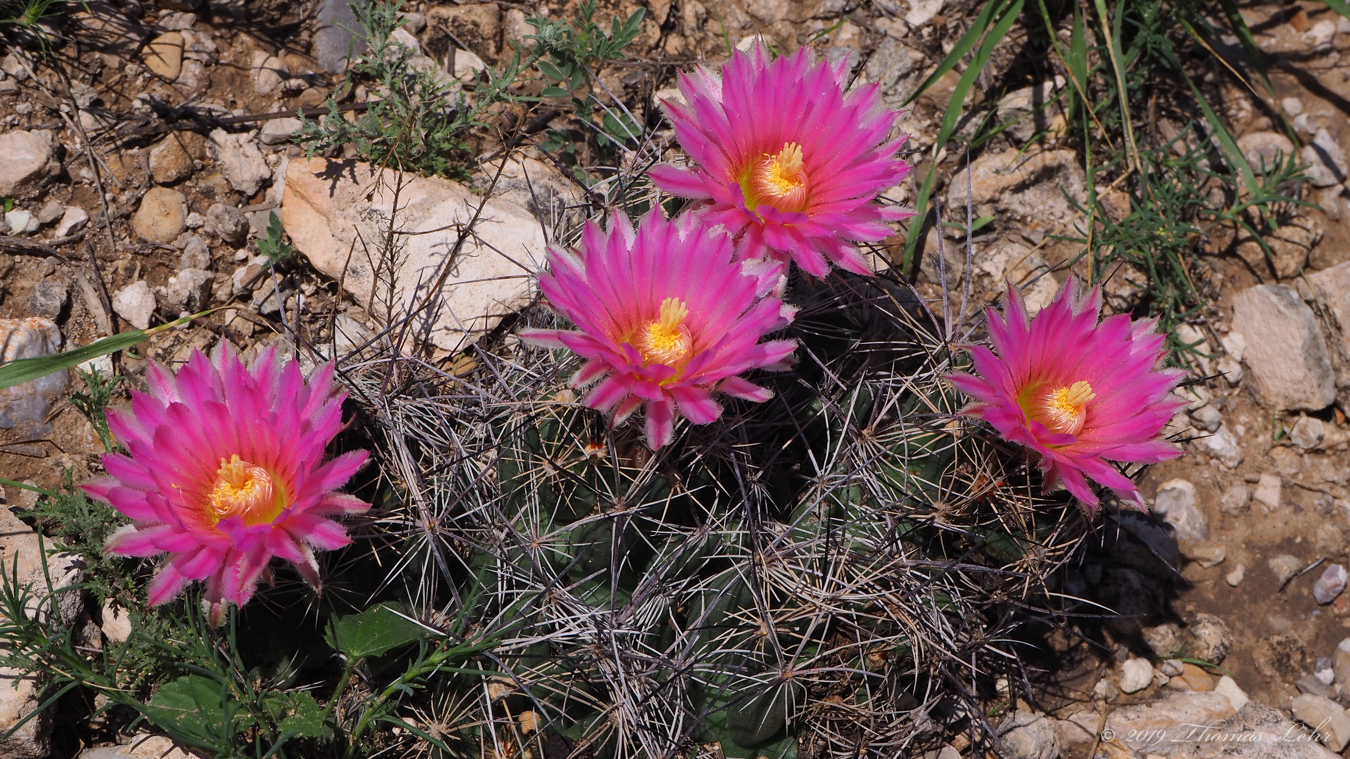 Remember you are this universe and this