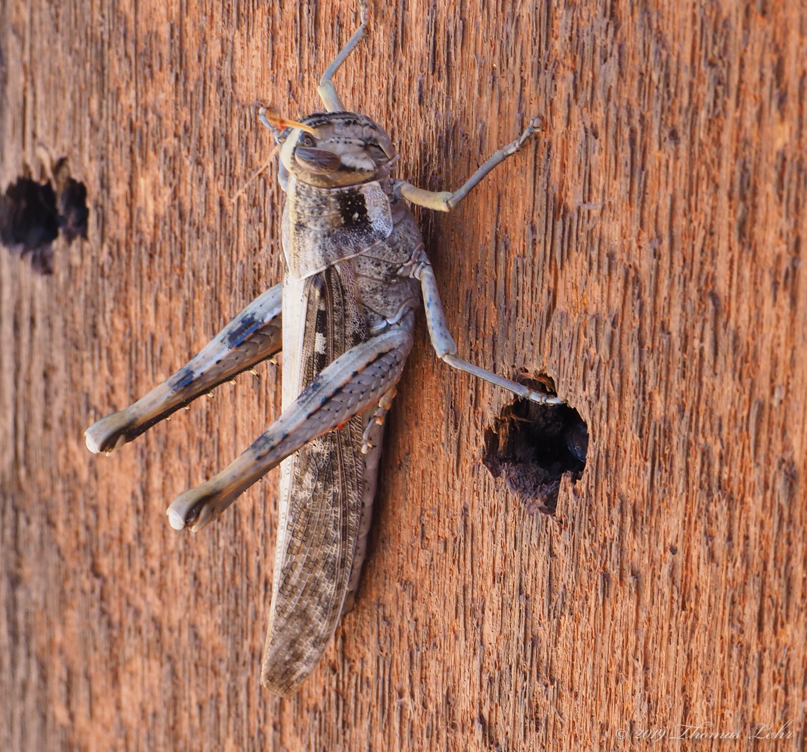 Beauty walks this world. It ages everything.