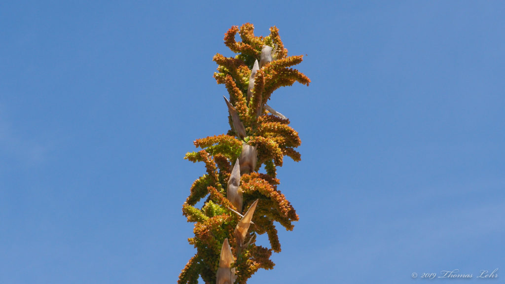 Remember all is in motion, is growing, is you.