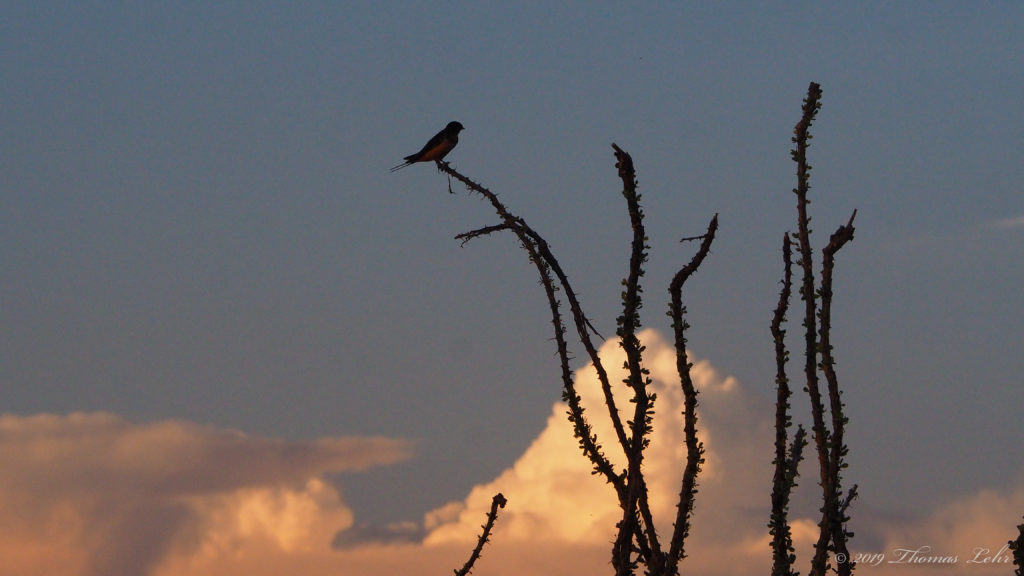 The soul has long accustomed to it.