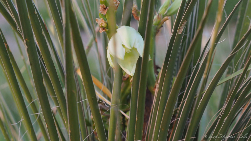 And some big feeling