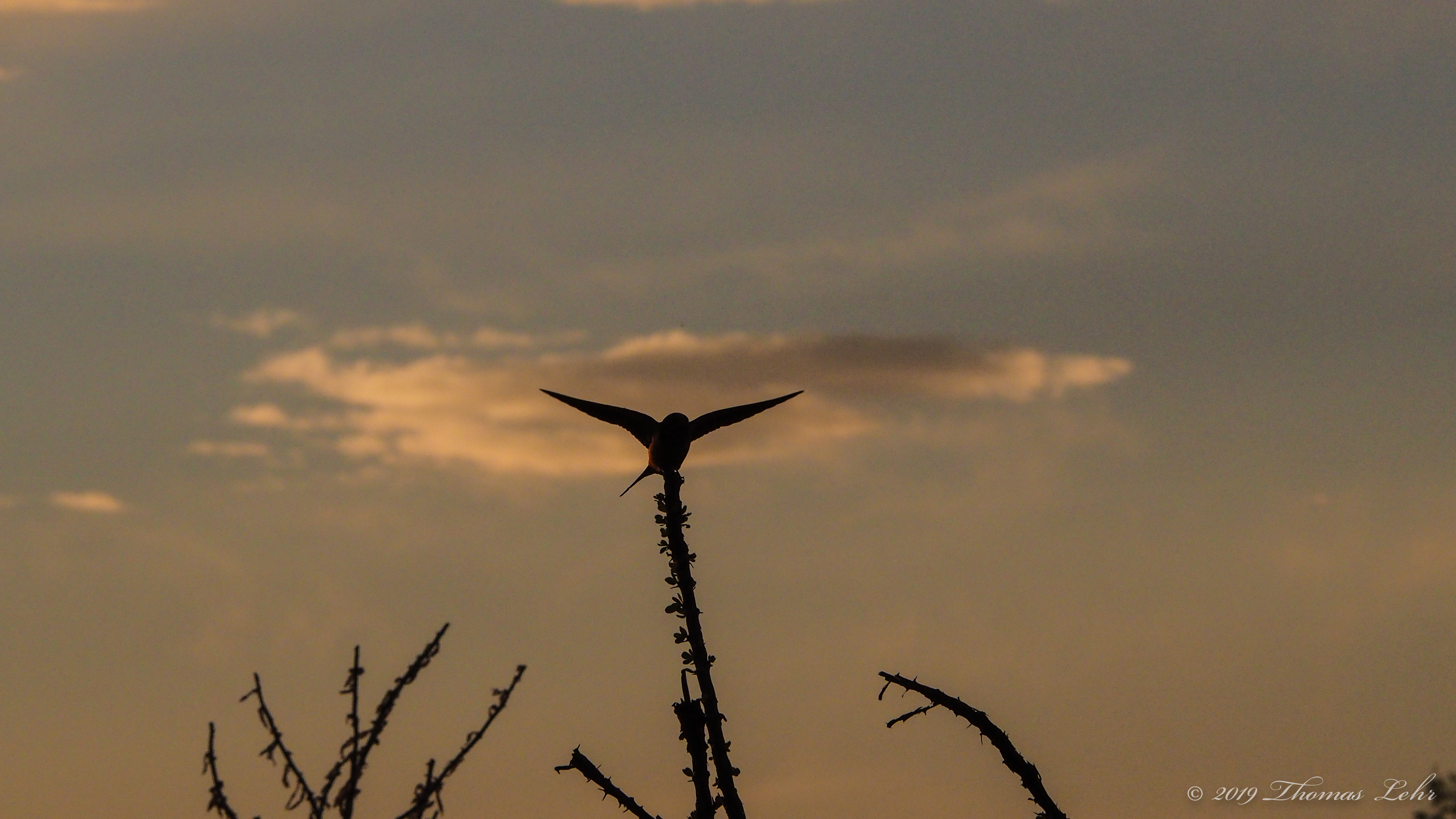 The ancient Greeks; the Romans after. How they