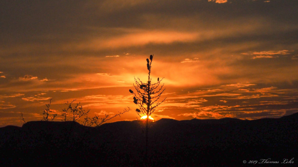 a tame one. I am no less grateful for