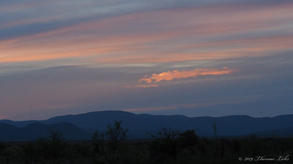 what would the evidence show?