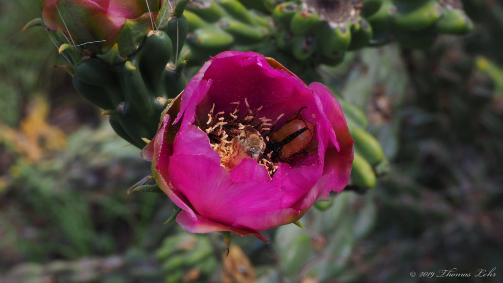 are like my own child.