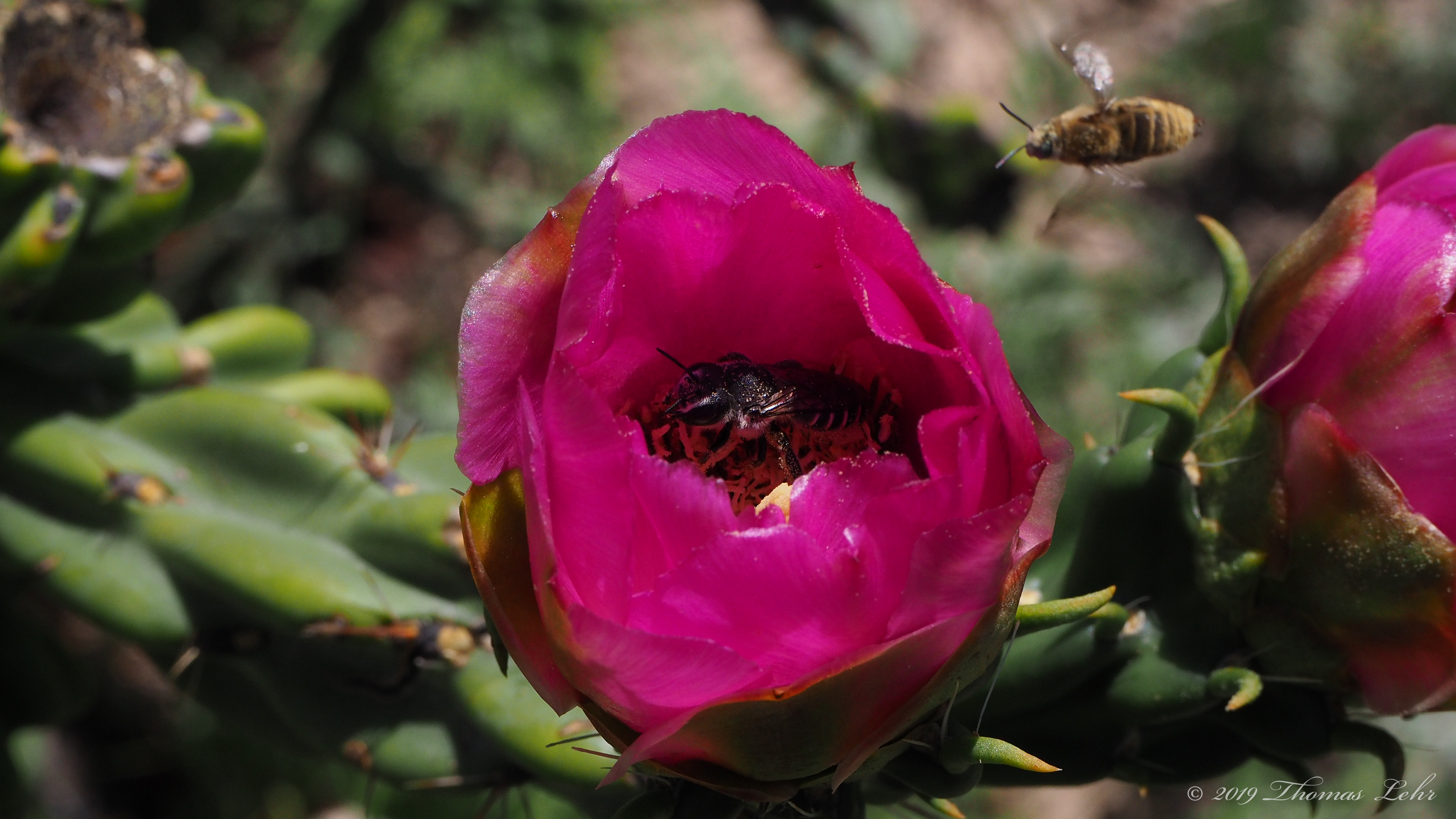 I want to gather you up again