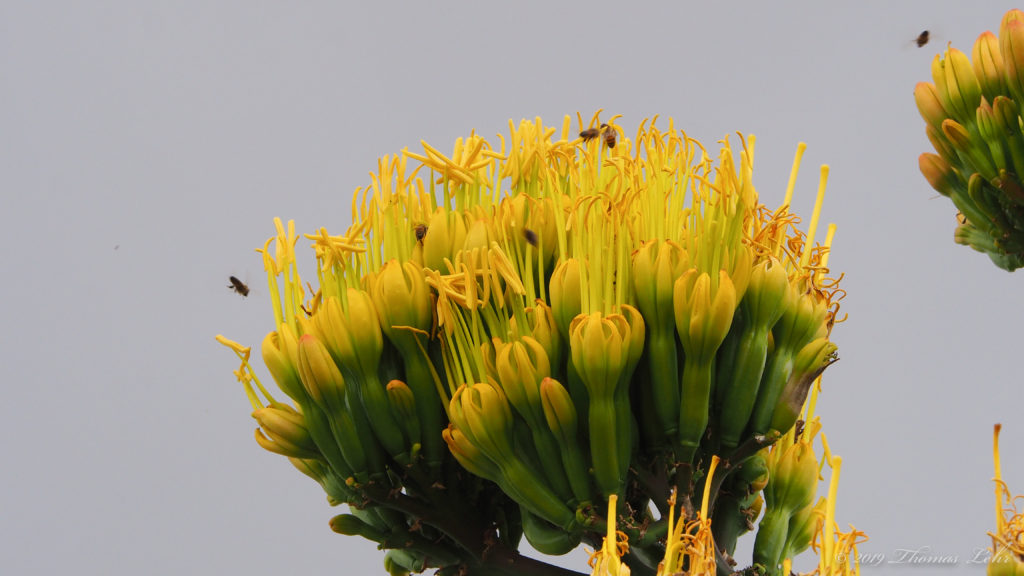 hollow by confusion, loss,