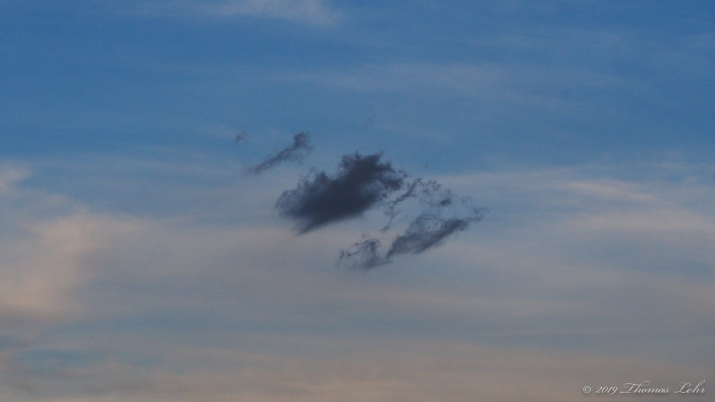 with so much needless fear and sorrow?