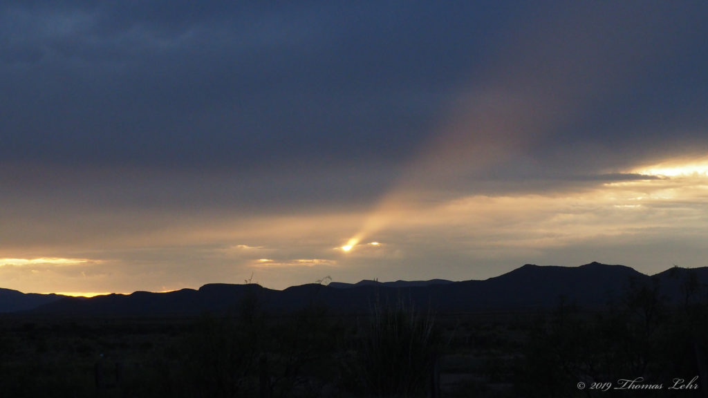 If I wear glasses am I more spectacular? —James Galvin