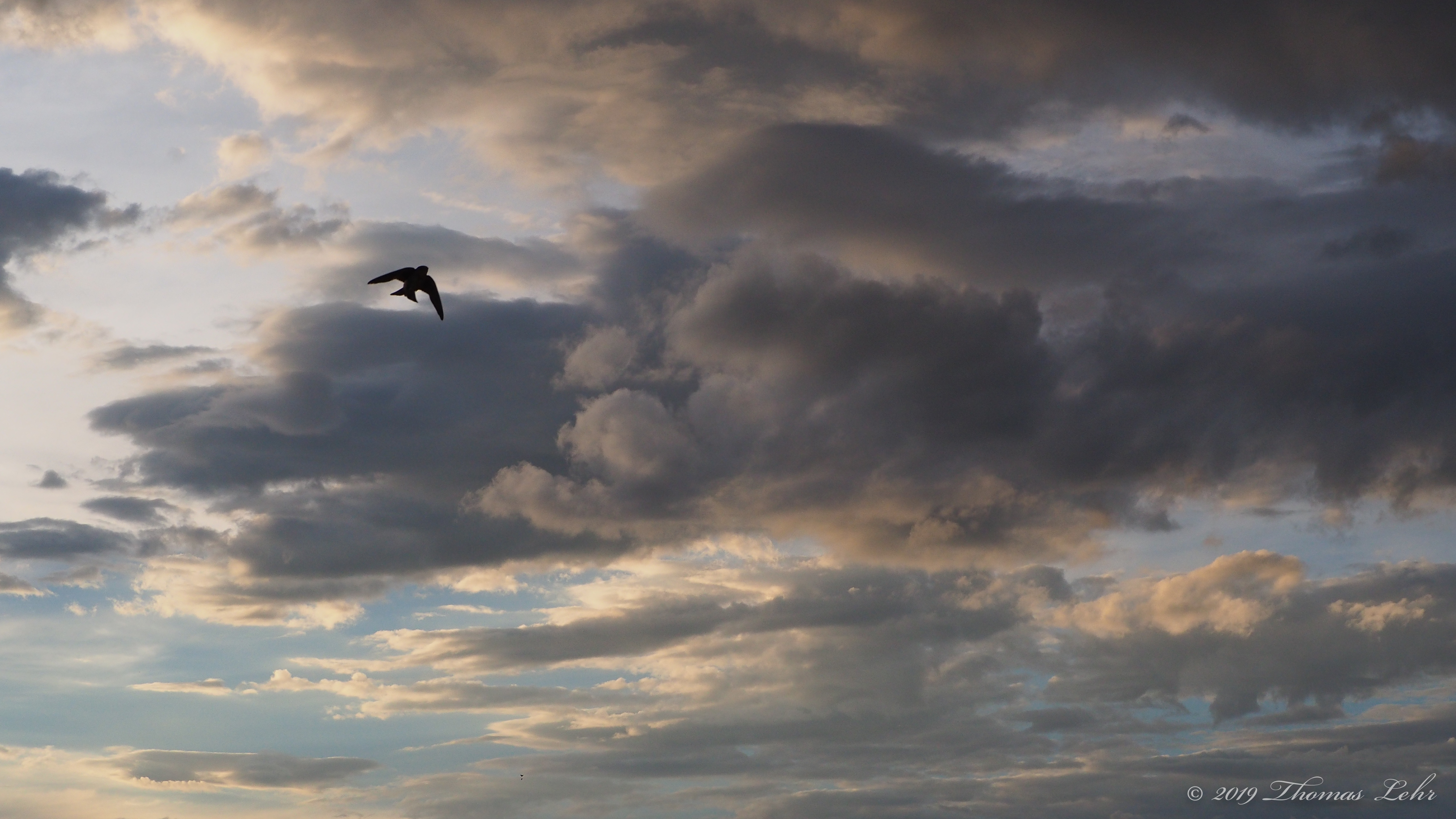 Life is not hurrying