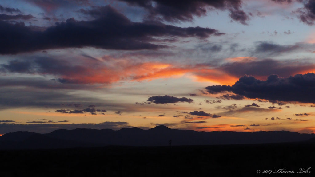 of the lit bush, to a brightness