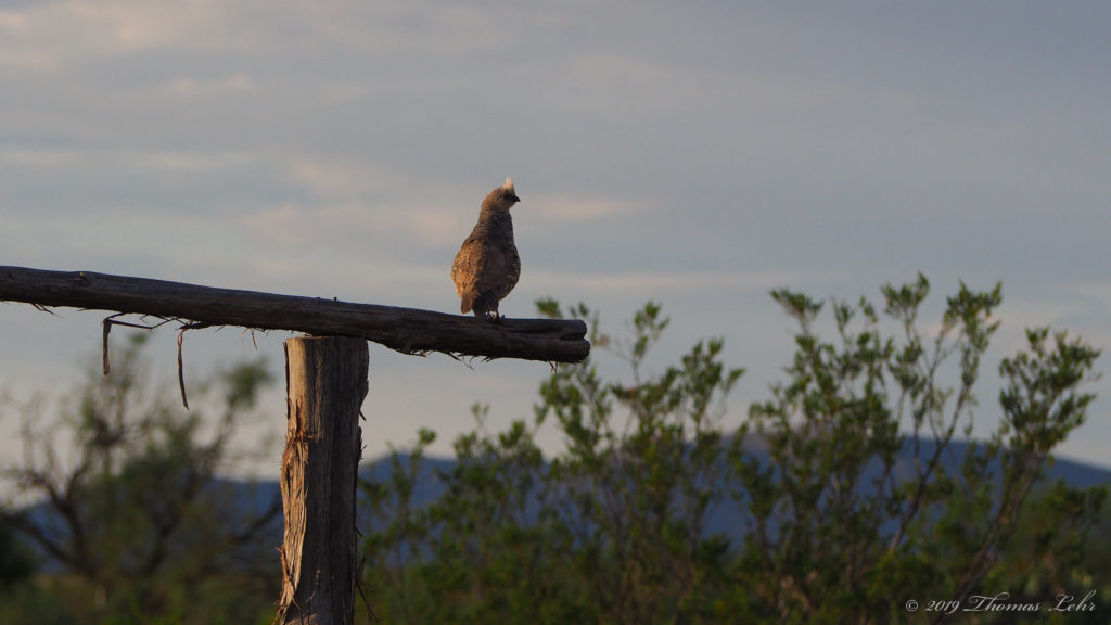 you do love, is it sudden and tough