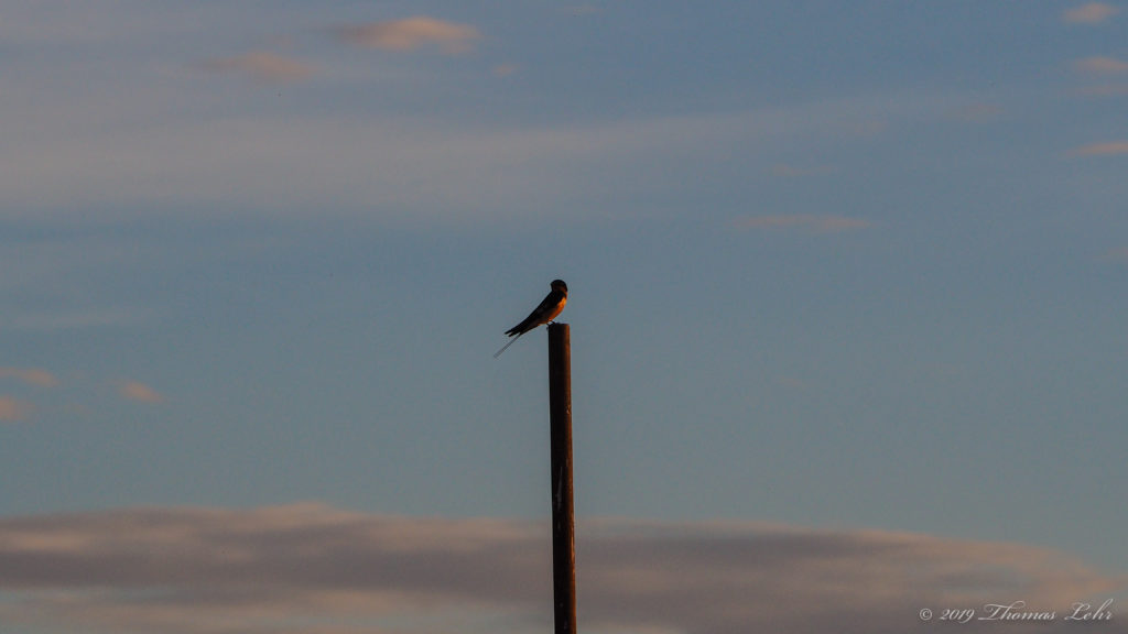 do you love to love, is it