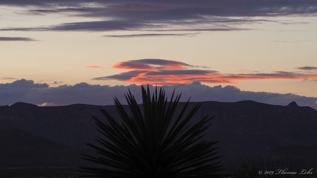 love or not love & do you —Diane di Prima