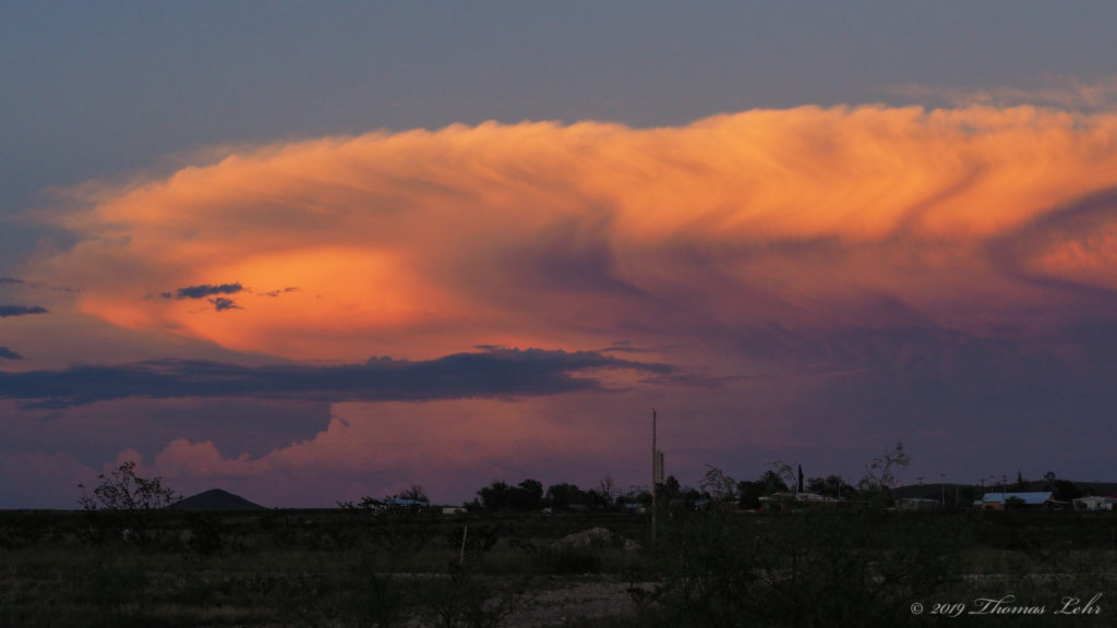 of the present. —Etel Adnan, translated by Sarah Riggs