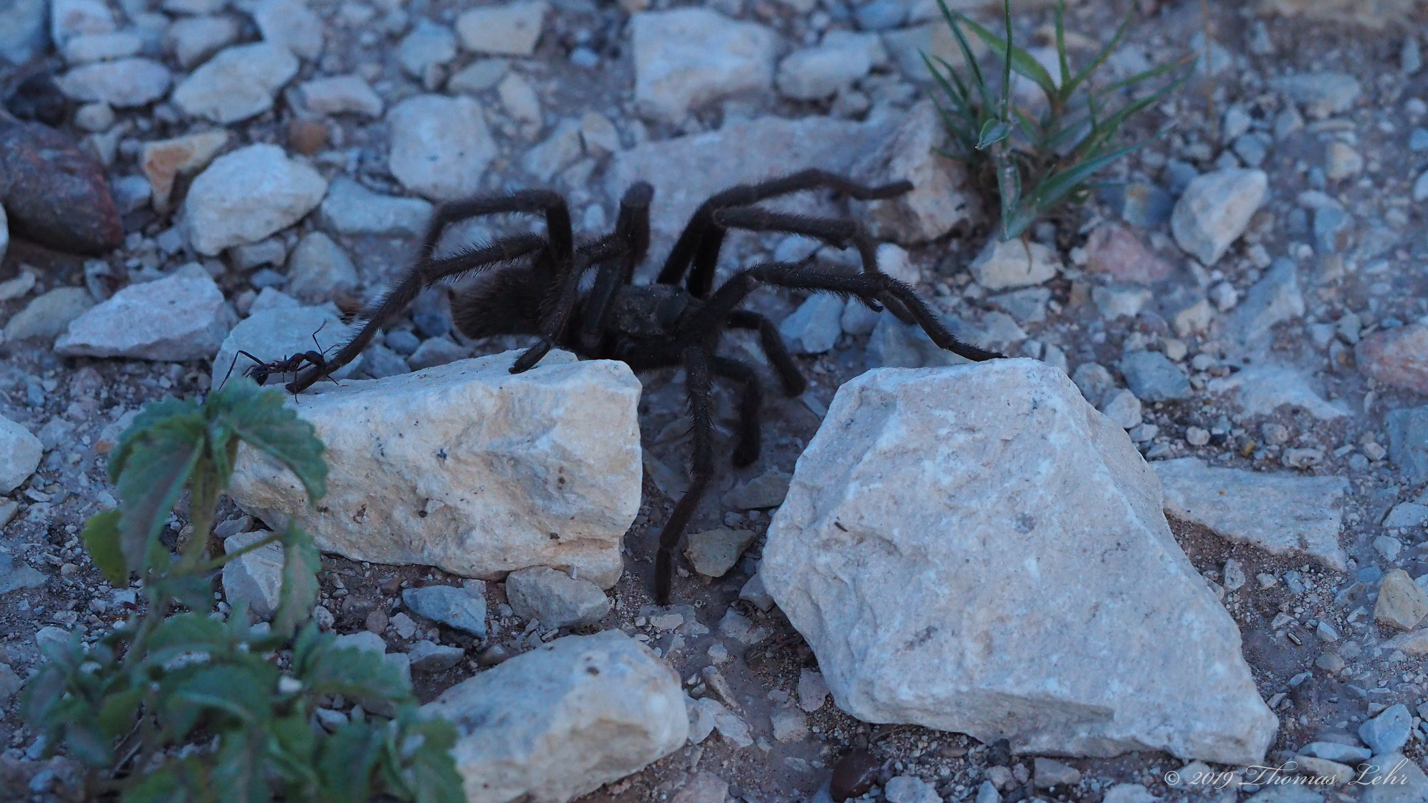 What does what it should do needs nothing more.