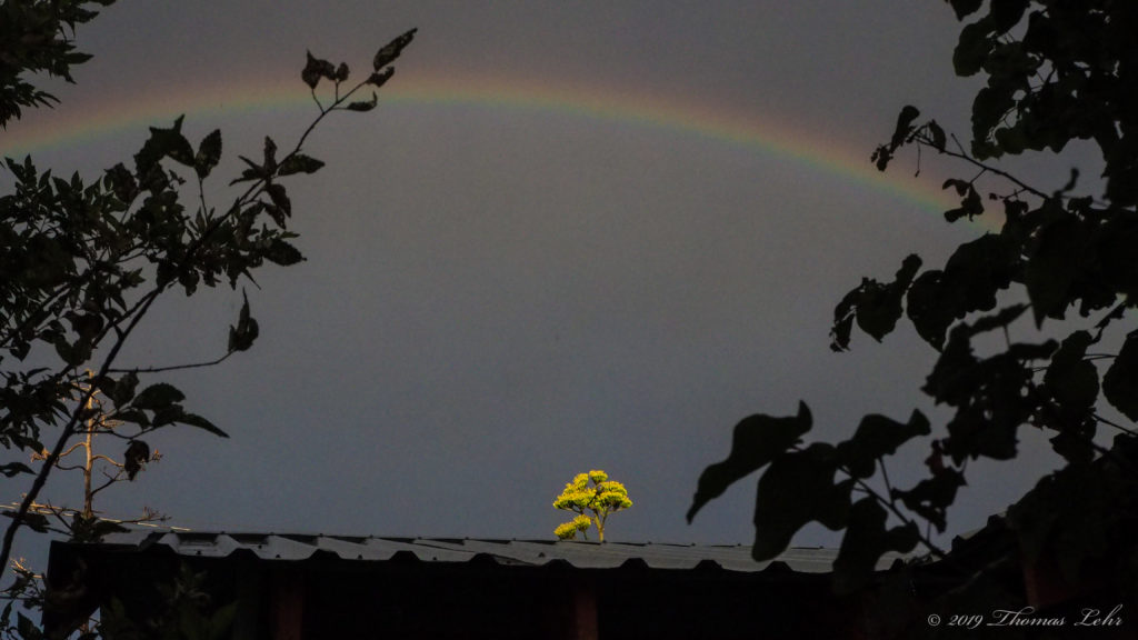 of the meaning of /we/, of /you/