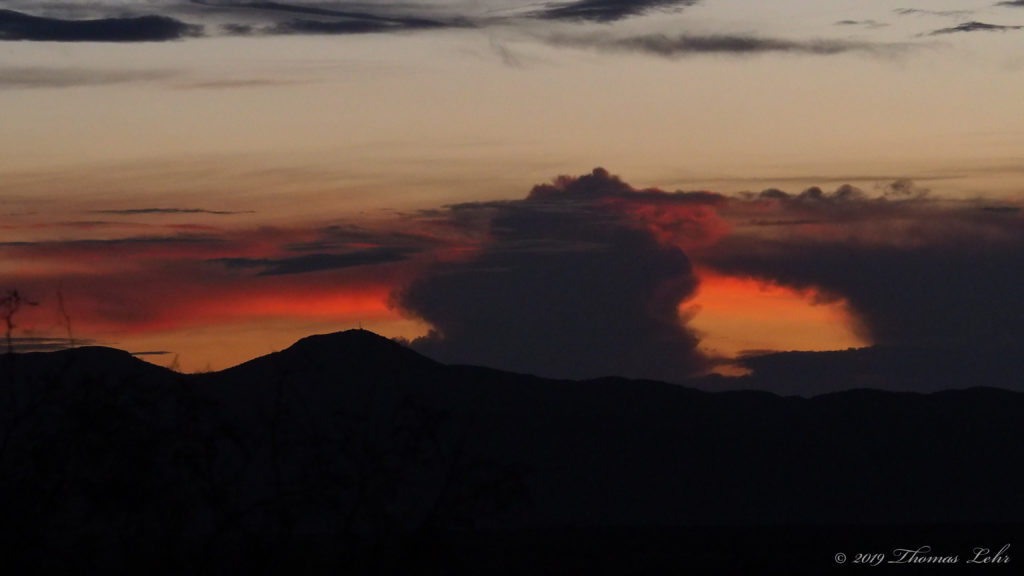 silly, ironic, terrible: —Adrienne Rich