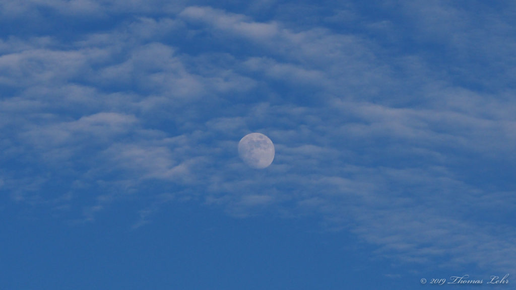 To see who shall be first to pluck the prize—