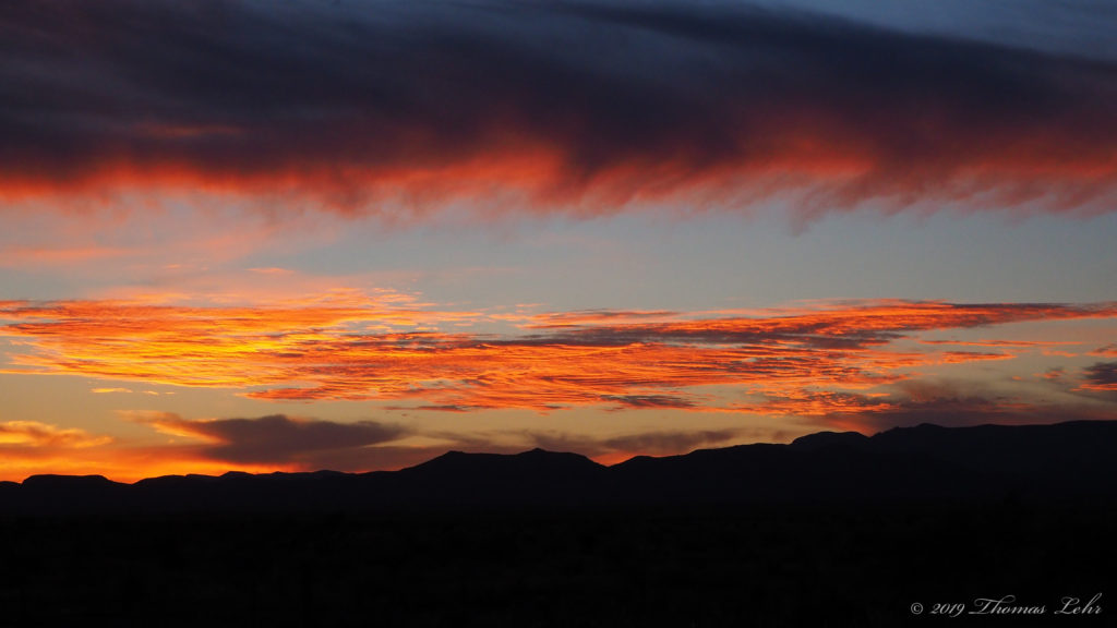 And o'er her half-formed nest, with happy wings