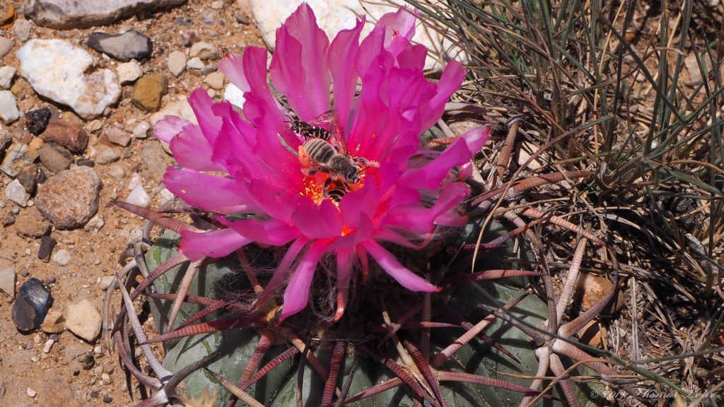 touches the patchwork spread on the hill