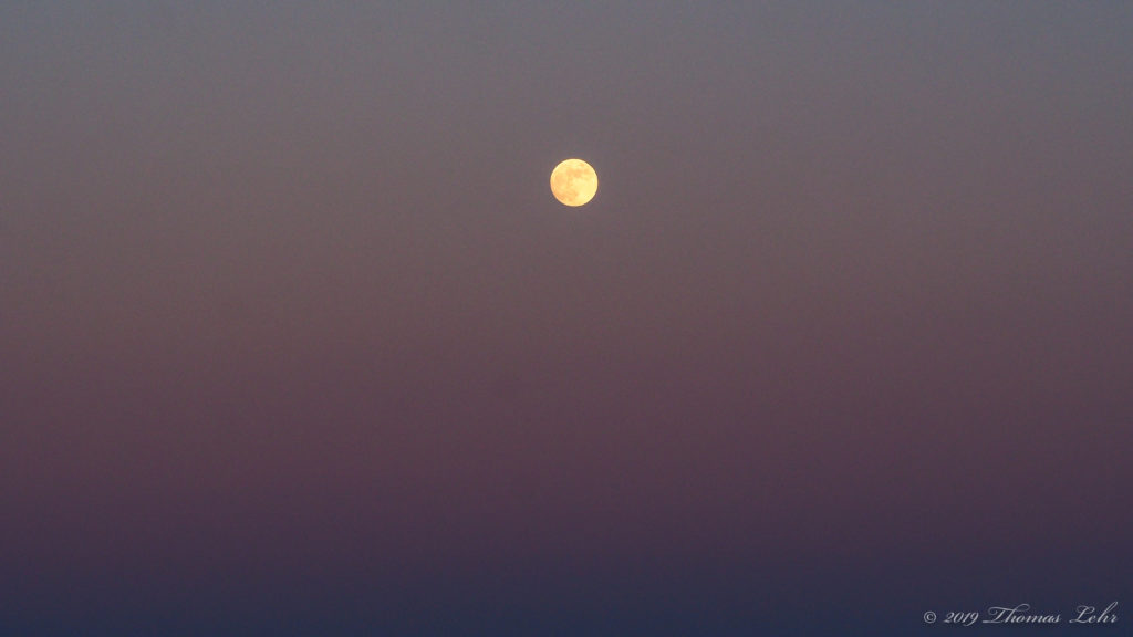 To an apathetic grave;