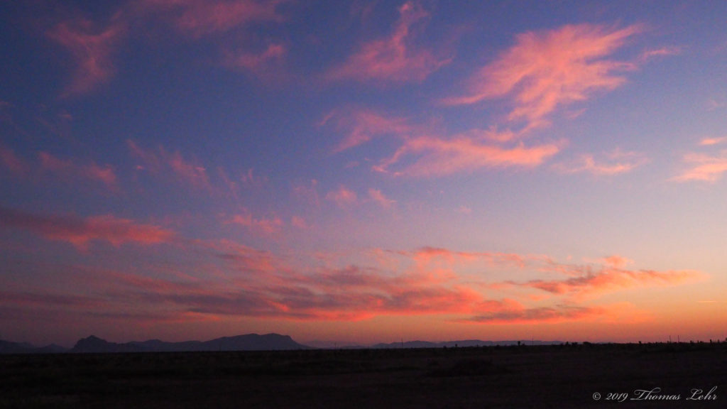 out of the flowers —Basho, translated by Robert Bly