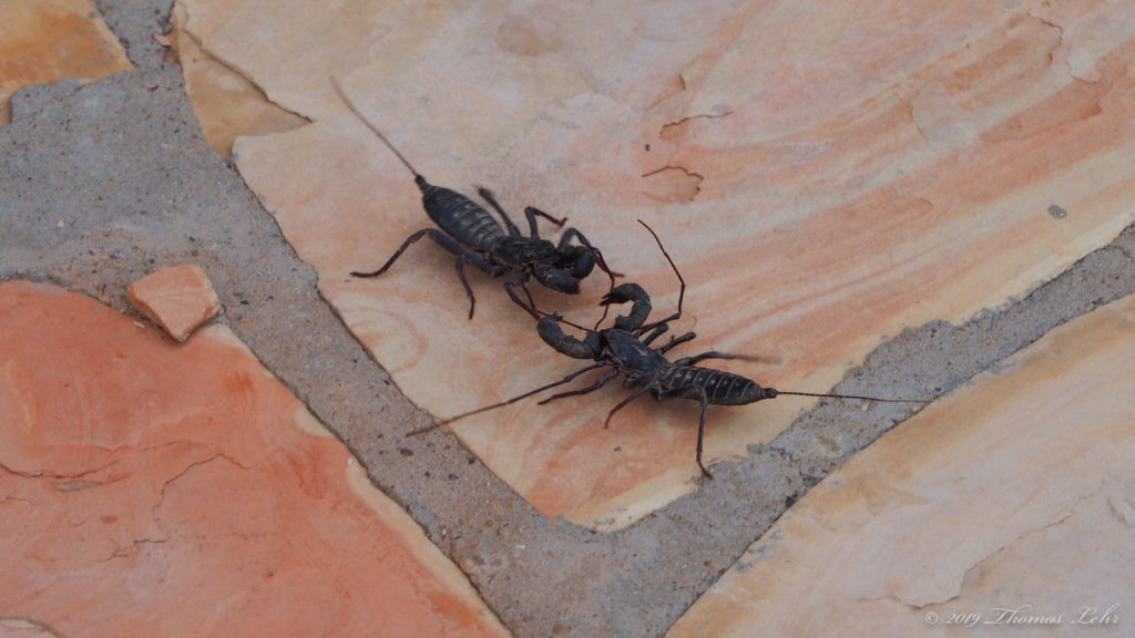 but I mean it. I don’t know what to want,