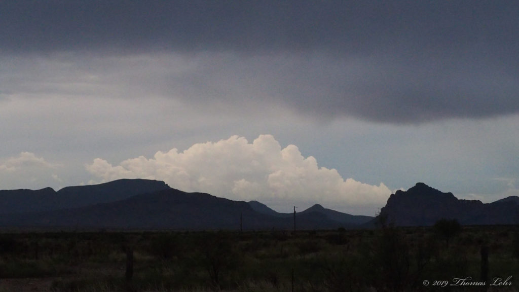 but I want it. ... —Katie Ford