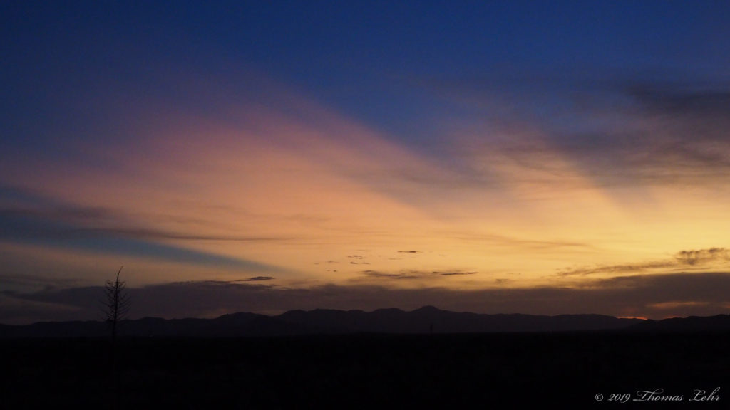 that scalds the heart. —Kim Addonizio