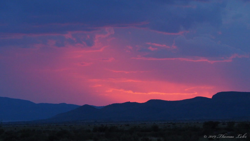 bee balm or chamomile. We should be concrete, —C. D. Wright