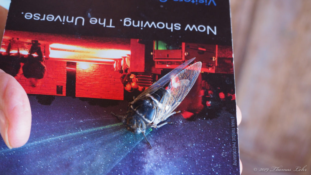 When caught in thoughts that lead nowhere,