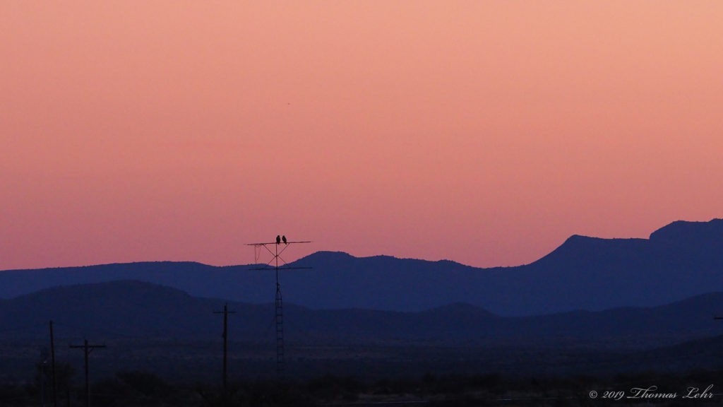 salvation comes from saying: I adore You.