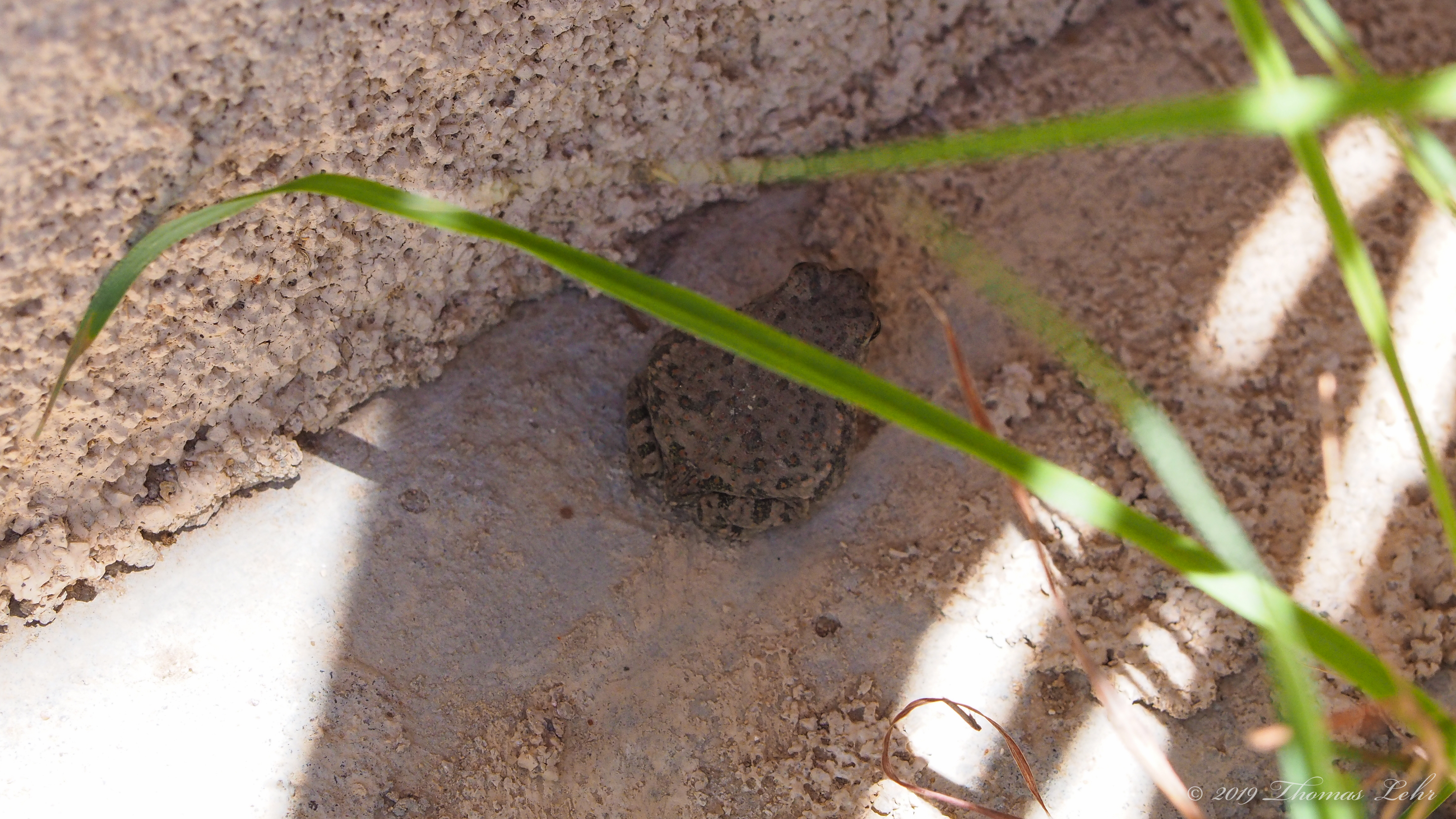 We’ve been fooled into thousands of dualisms