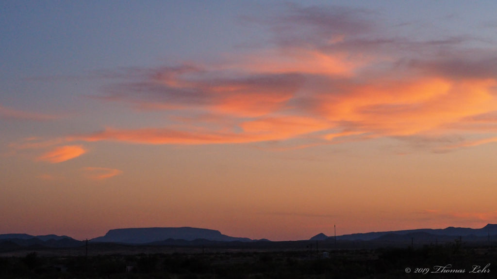 There are two vast cottonwoods near a creek