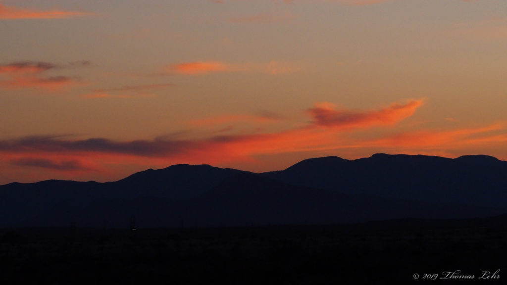 and when I walk between them I shiver. —Jim Harrison