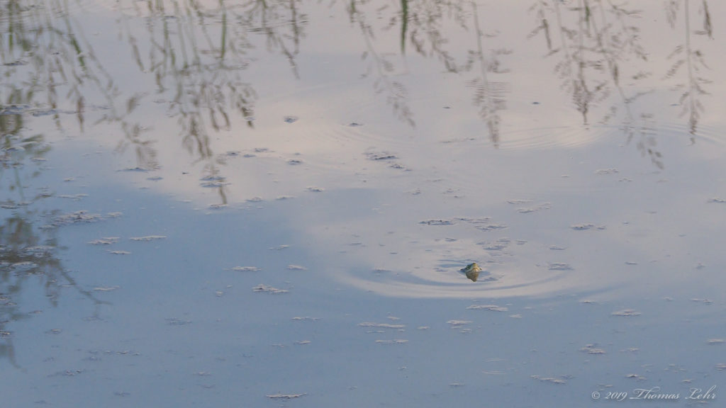 someone has to reckon with.