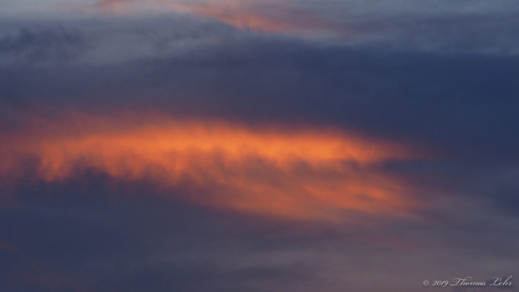 flute, from the body, that can rise. —Hafiz, translated by Daniel Ladinsky