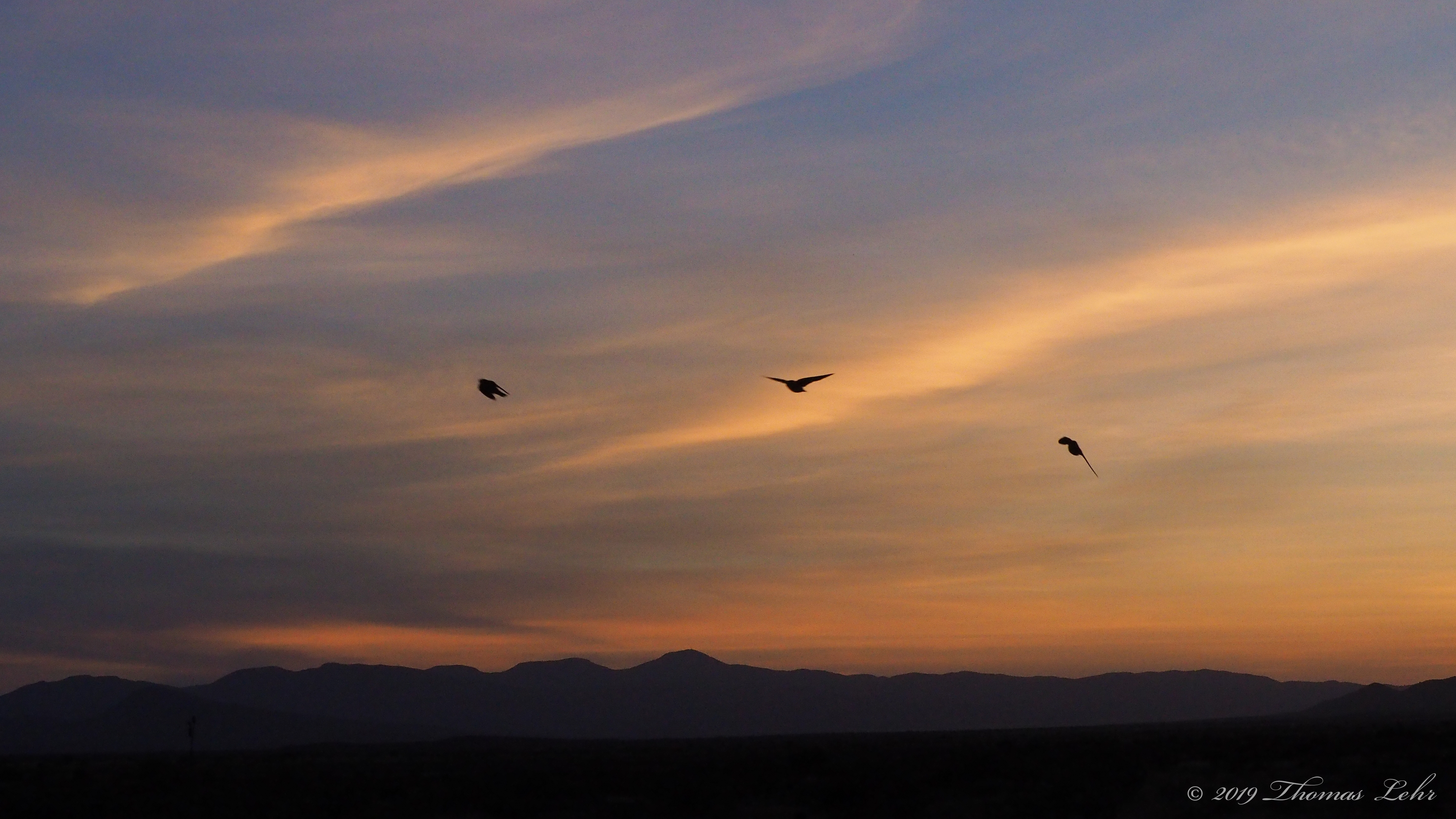 I’ll walk where my own nature would be leading: