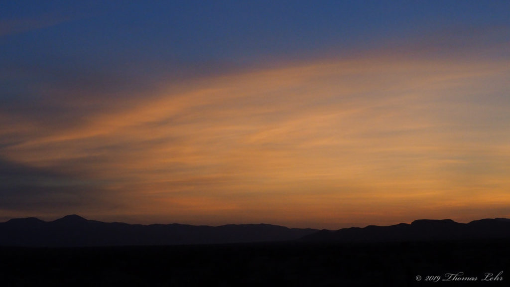 Where the gray flocks in ferny glens are feeding;